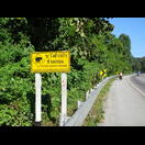 Elefanten sind wir nicht begegnet